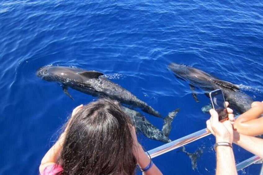A person taking a photo of two whales in the ocean. 2