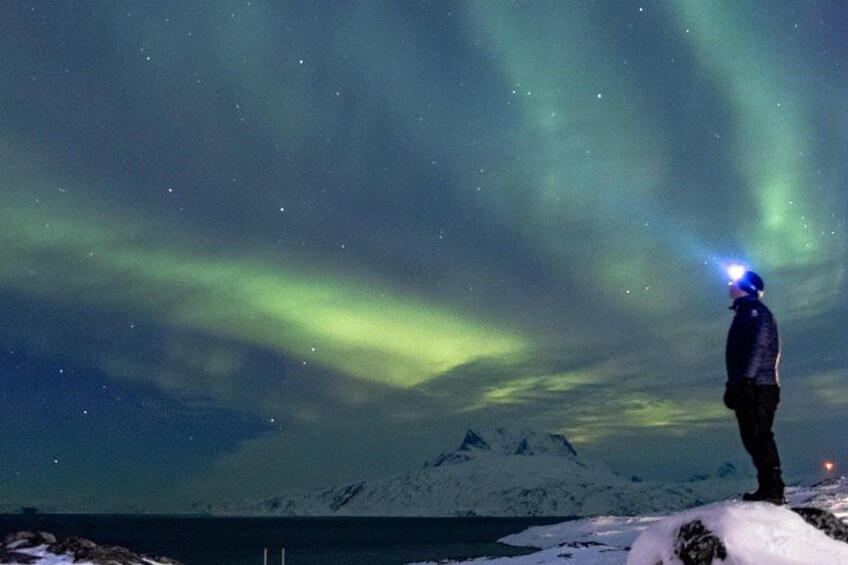 Une personne se tient sur une surface enneigée, sous un ciel nocturne illuminé par des aurores boréales. 5