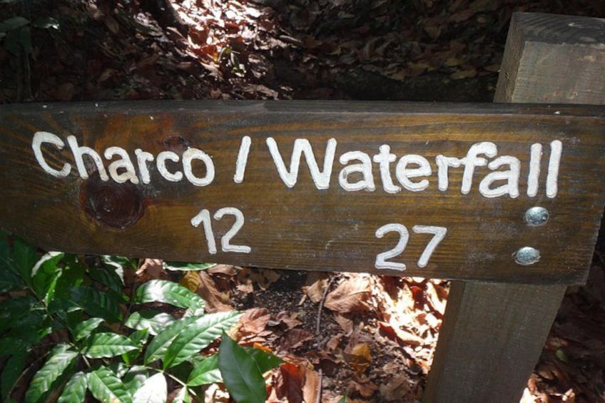 A wooden sign with the text 'Charco / Waterfall 12 27' indicating a location or trail marker. 2