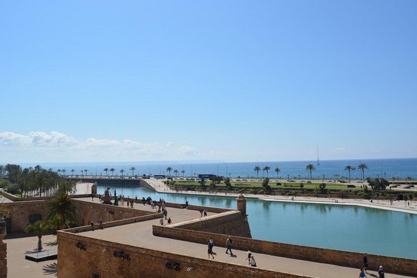 A coastal promenade with a large pool, palm trees, and a clear sky. 5