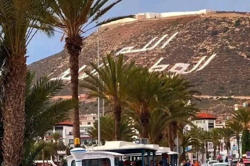 A coastal cityscape with palm trees, a bus, and a hill with Arabic script. 2