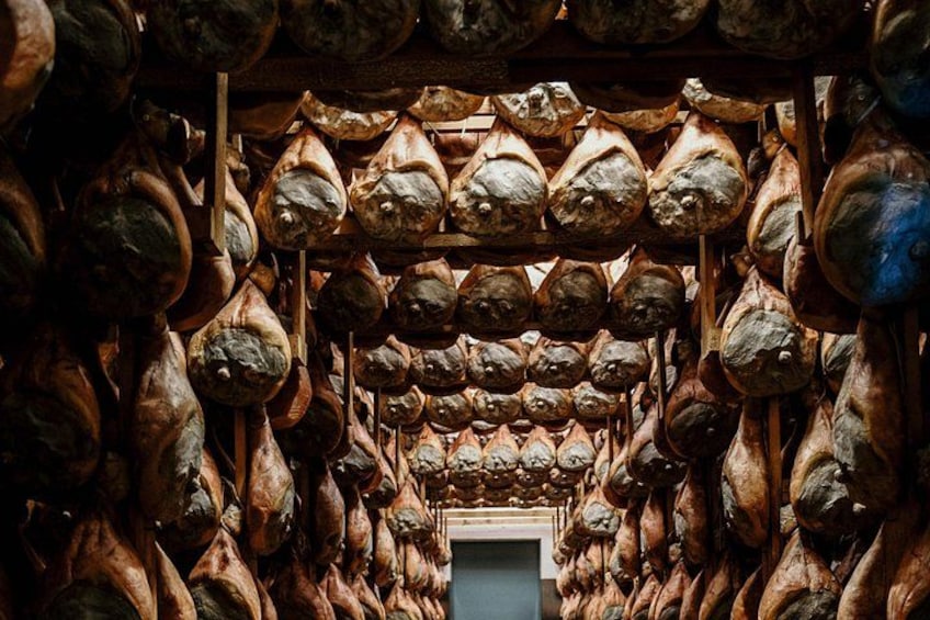Private Full Day Parma Food Tour: Parmesan Cheese, Parma Ham, Lunch, Vinegar 2