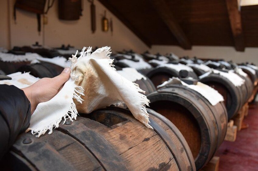 Private Full Day Parma Food Tour: Parmesan Cheese, Parma Ham, Lunch, Vinegar 3