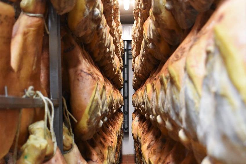 Private Full Day Parma Food Tour: Parmesan Cheese, Parma Ham, Lunch, Vinegar 4