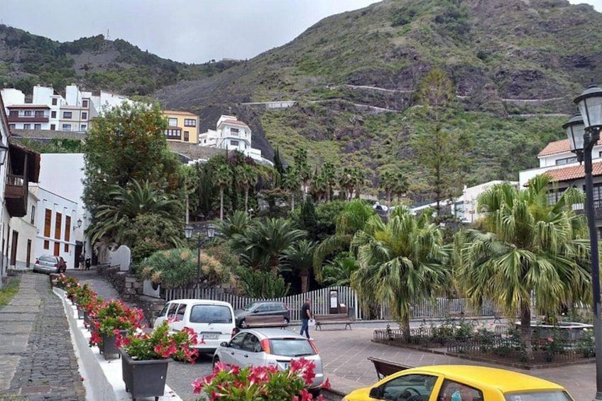 Volcano Teide National Park And North Of The Island VIP TOUR 2