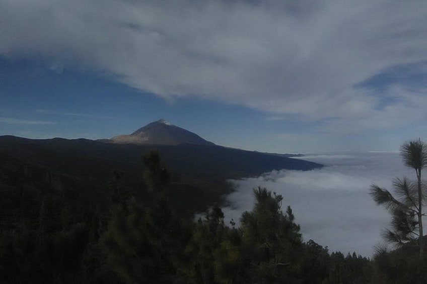 Volcano Teide National Park And North Of The Island VIP TOUR 1
