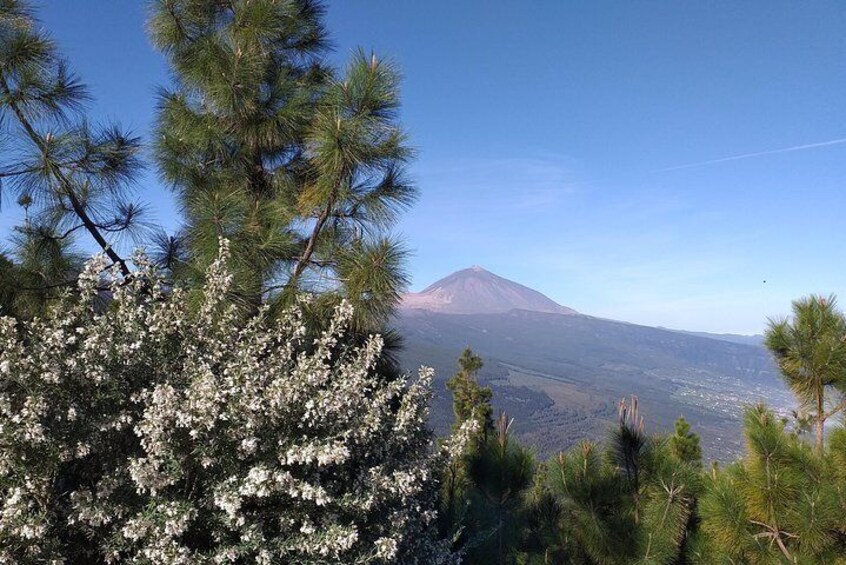 Mountain Teide National Park And North Of The Island