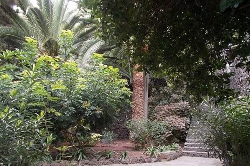 Tenerife:Round The Island Trip Without Teide Small-Group VIP TOUR 2