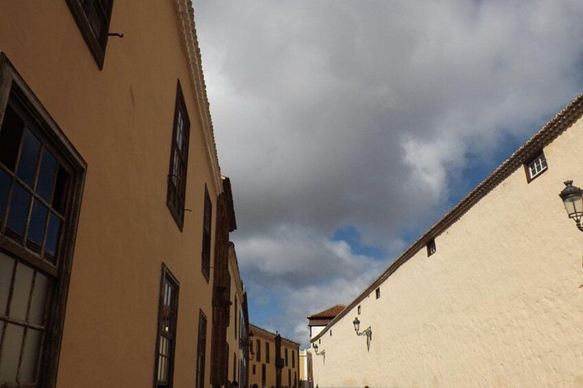 Tenerife:Round The Island Trip Without Teide Small-Group VIP TOUR 4