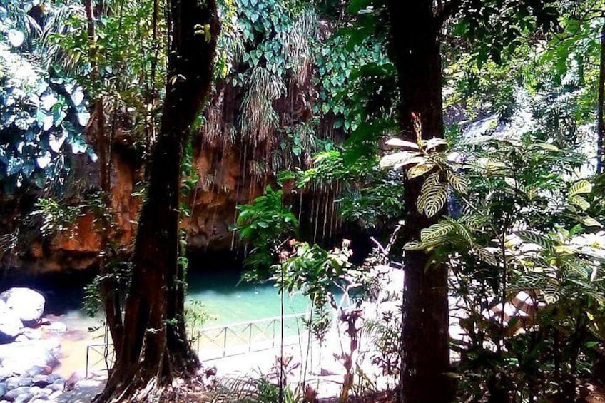 Annandale Waterfall 1
