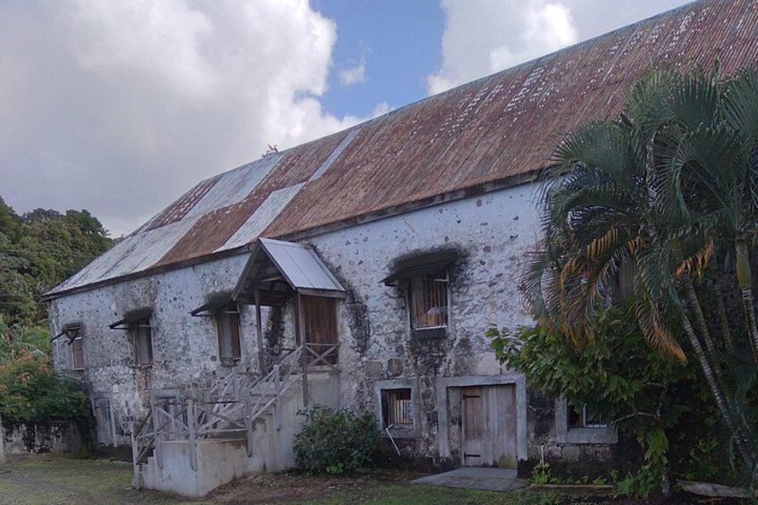 Fun Tours in Grenada 5