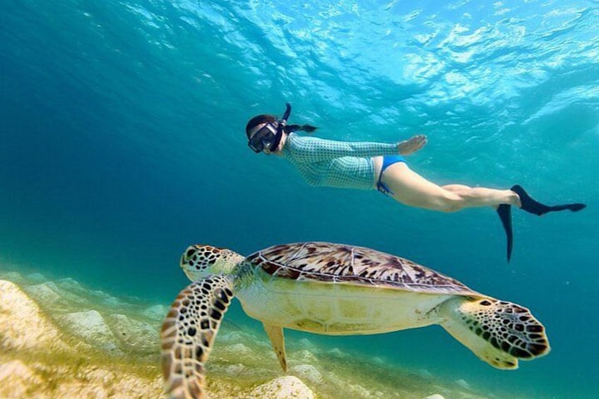 Un buzo nada con una tortuga marina bajo el agua. 2