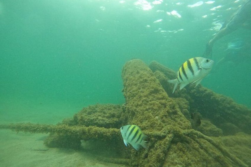 San Juan Turtle Spotting Snorkel Adventure with Videos 5