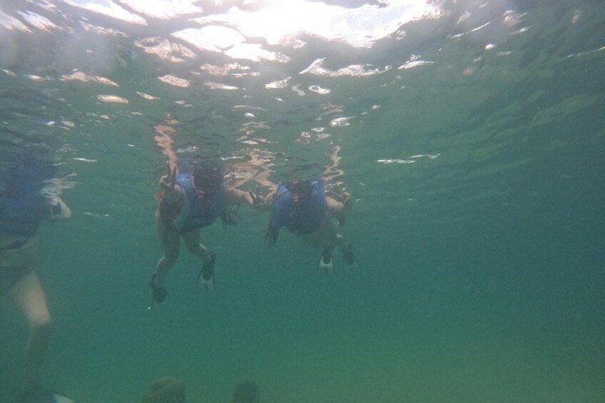San Juan Turtle Spotting Snorkel Adventure with Videos 2
