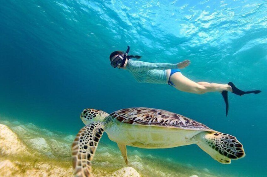 Una persona practica snorkel junto a una tortuga marina en aguas cristalinas. 3