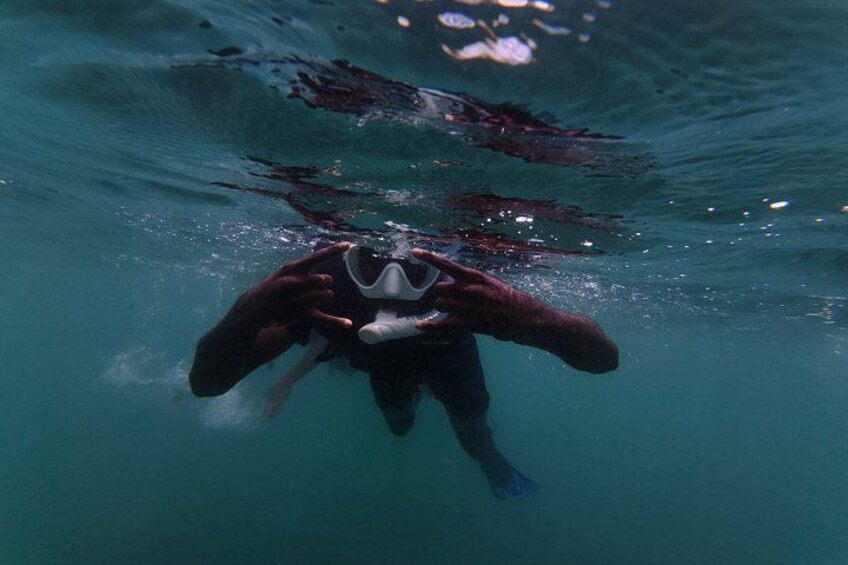 San Juan Turtle Spotting Snorkel Adventure with Videos 2