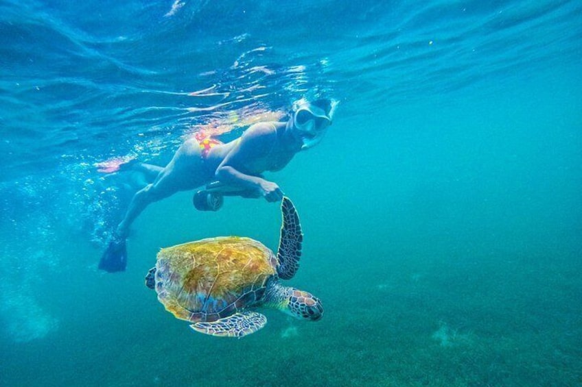 Puerto Rico Jet Snorkel with Turtles and Videos in San Juan 2