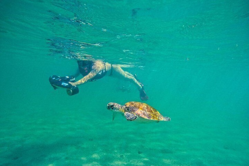 Puerto Rico Jet Snorkel with Turtles and Videos in San Juan 2