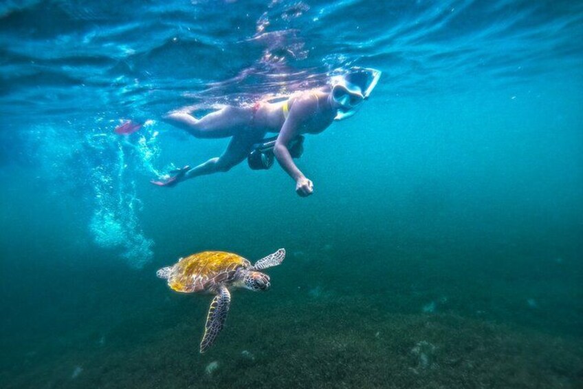 Puerto Rico Jet Snorkel with Turtles and Videos in San Juan 4