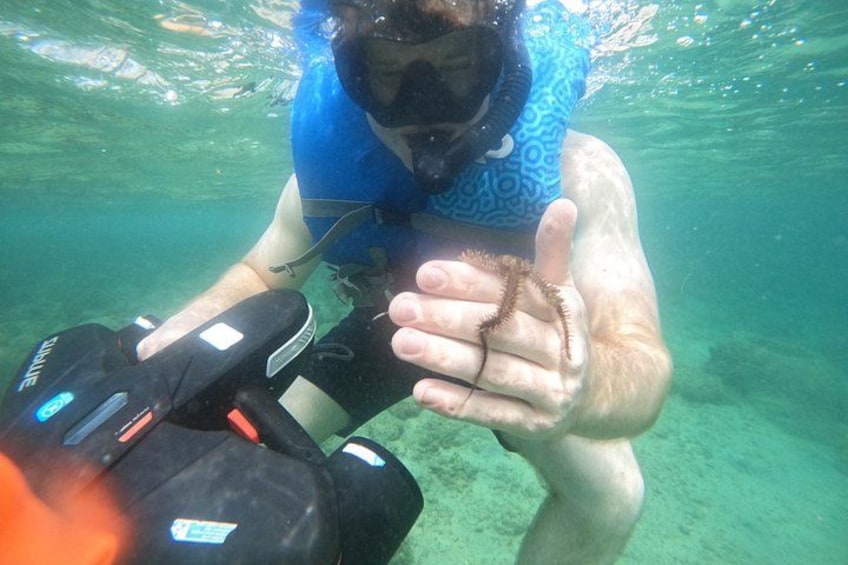 Puerto Rico Jet Snorkel with Turtles and Videos in San Juan 4