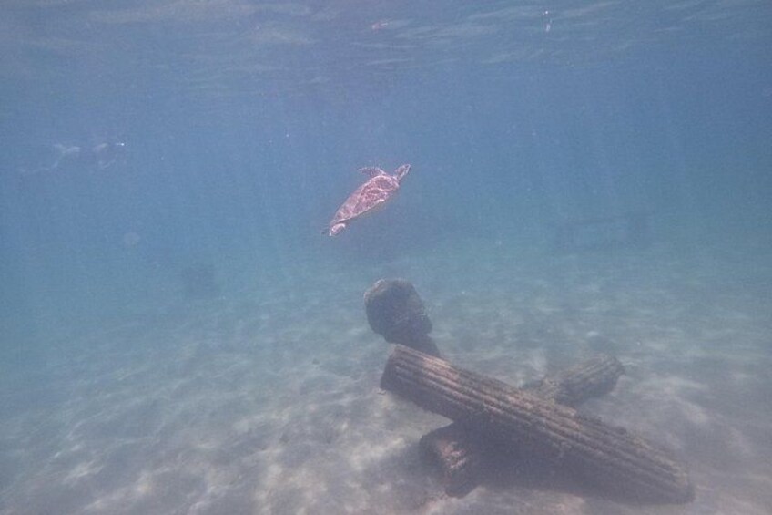 Puerto Rico Jet Snorkel with Turtles and Videos in San Juan 2