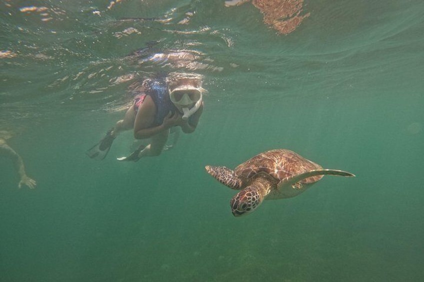Une personne faisant de la plongée avec tuba en compagnie d’une tortue de mer. 2