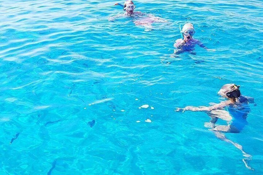 Three people swimming in a clear blue pool. 3