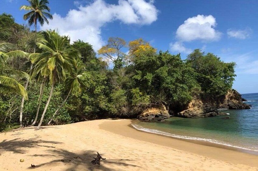 Full Island Tour (Including Lunch & Snorkeling) 1