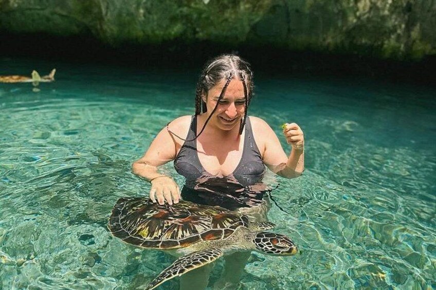 Una persona in costume da bagno tiene una tartaruga marina in acqua cristallina. 2