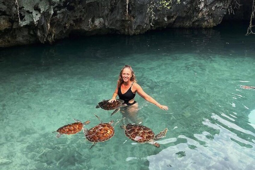 A person in clear water surrounded by sea turtles. 5