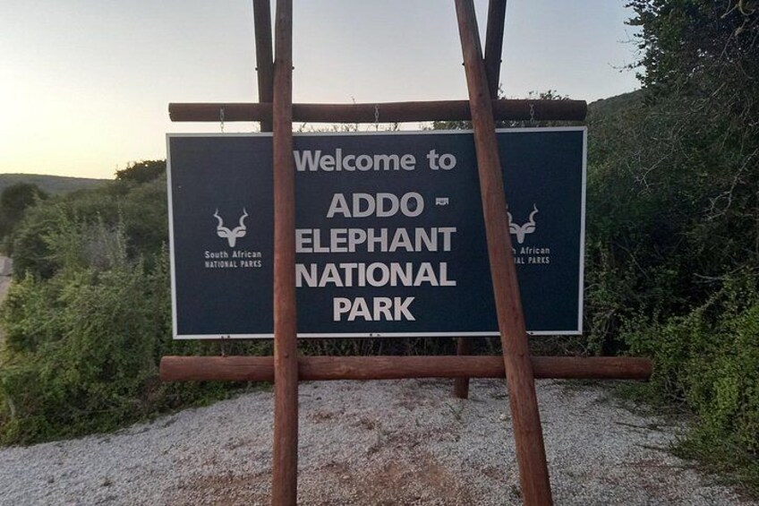 Addo Elephant Park multi-day Photo Safari 2