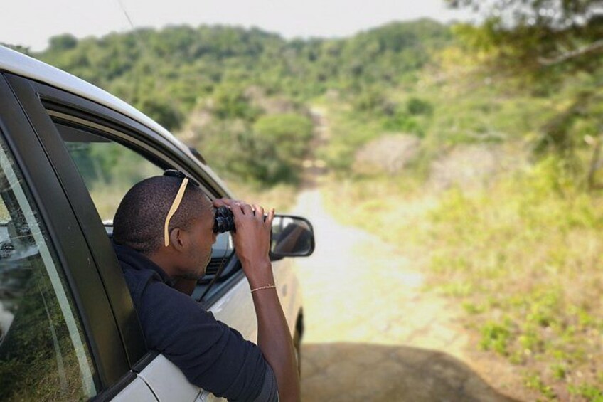 A person taking a photo through a car window, with a dirt road and greenery in the background. 1