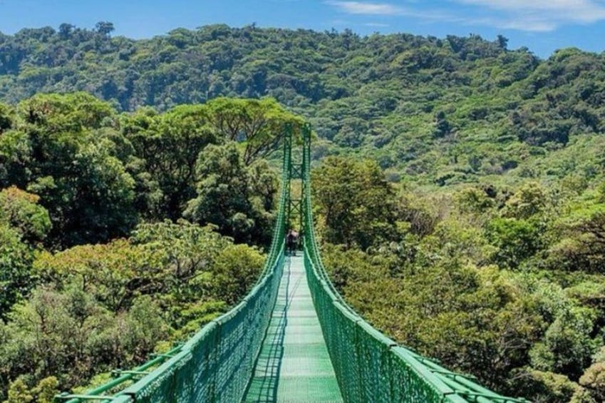 A green suspension bridge surrounded by dense forest. 2