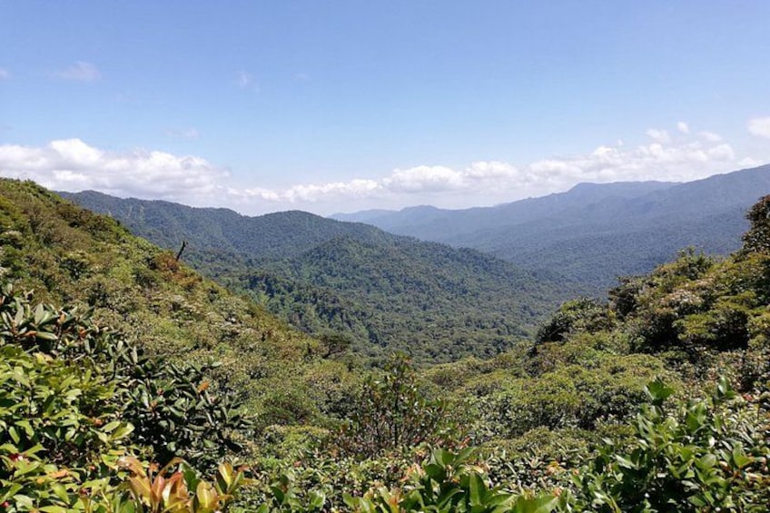 A mountainous landscape with dense vegetation and a clear sky. 4