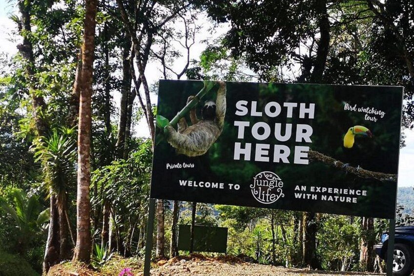 A signboard for a sloth tour, surrounded by trees and greenery. 4