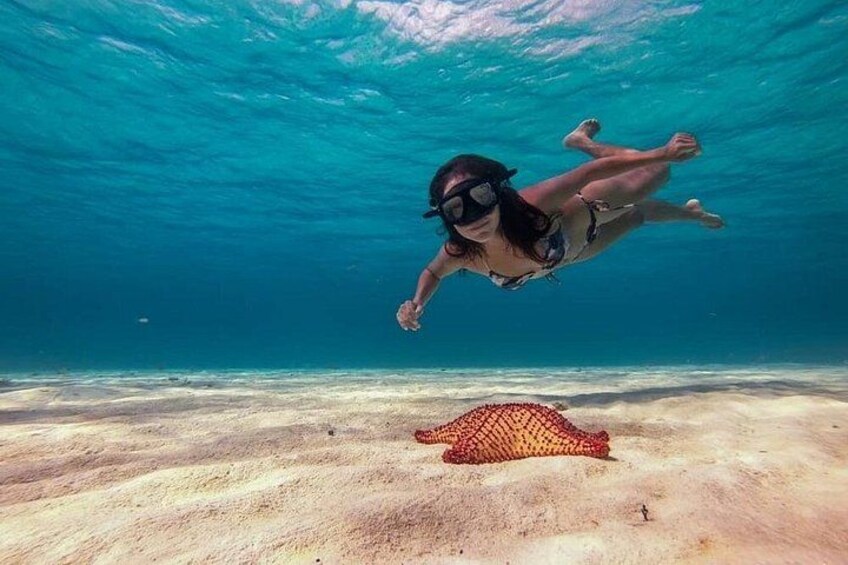 Cozumel Snorkeling Tour: Palancar, Columbia and El Cielo Reefs 2
