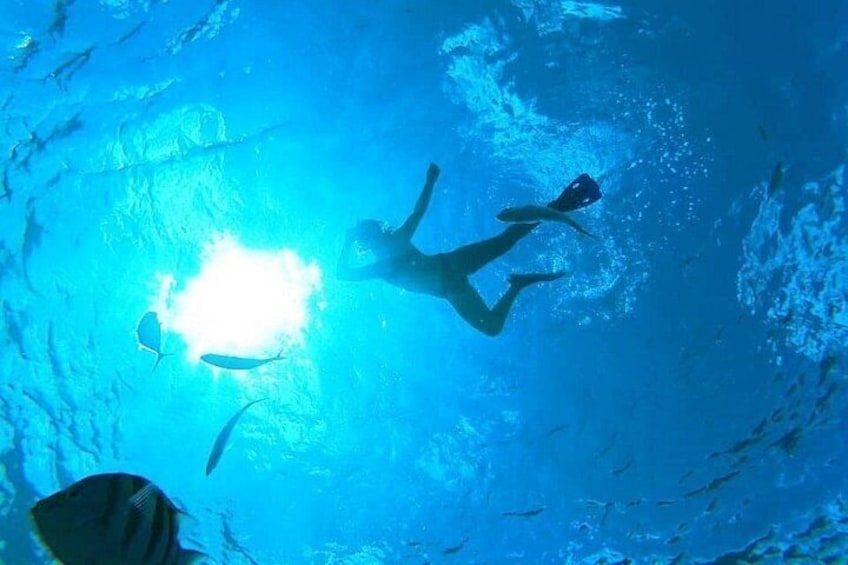 Cozumel Snorkeling tour 2
