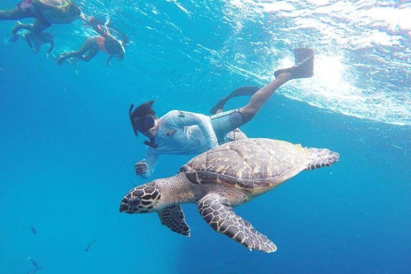 El Cielo Cozumel snorkeling tour 1