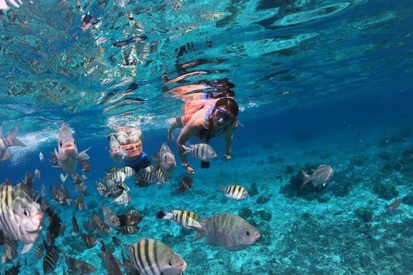 El Cielo Cozumel 5