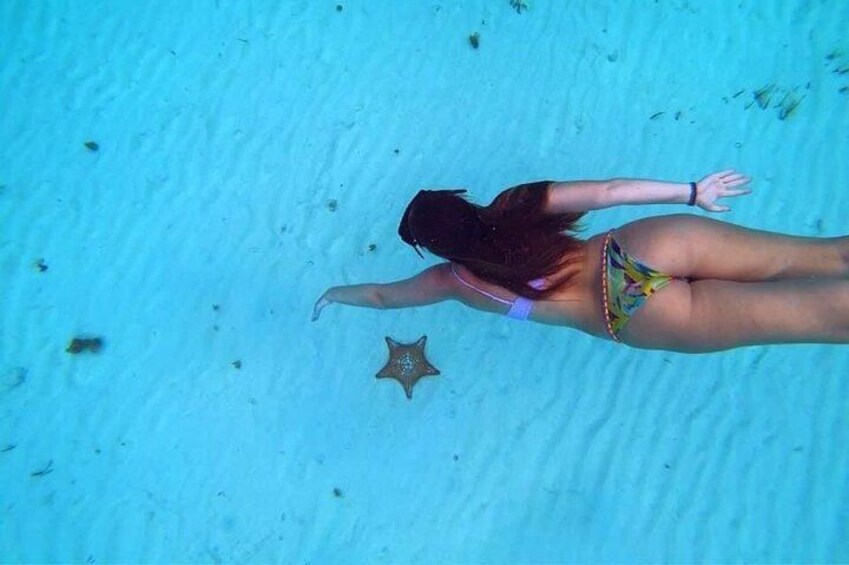 El Cielo Cozumel snorkel 5