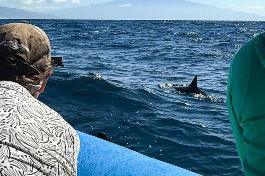 Watching dolphins departing from Lahaina Maui! 2
