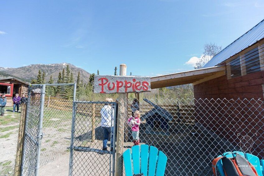 A fenced area with a sign reading 'Poppies,' a wooden structure, and a mountainous background. 3
