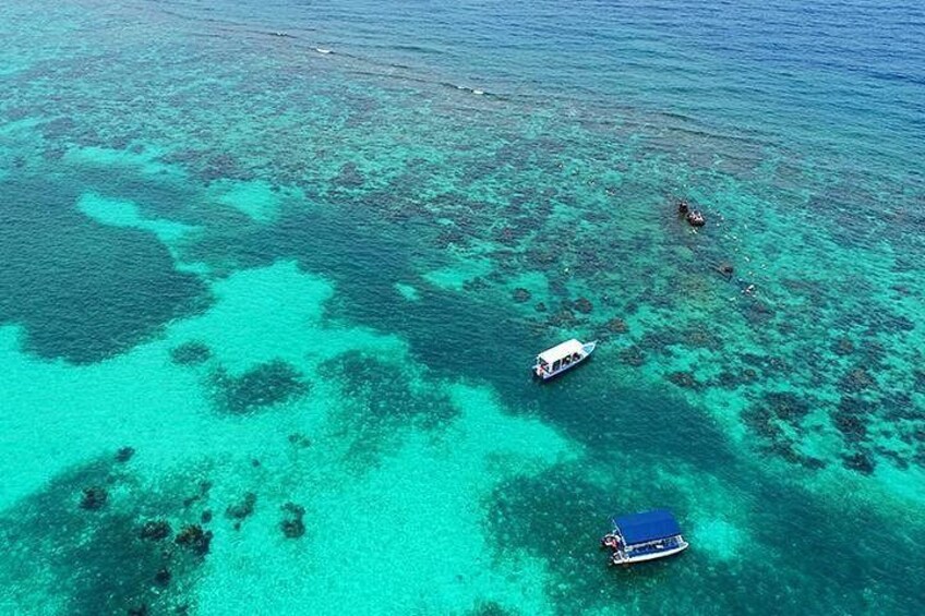 Explore the north side of Roatan 1