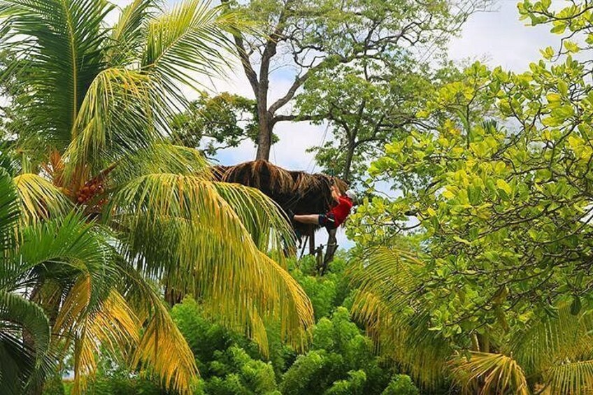 Roatan Sun & Fun Custom Private Island Tour 4