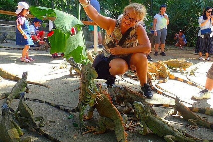 Roatan Sun & Fun Custom Private Island Tour 3