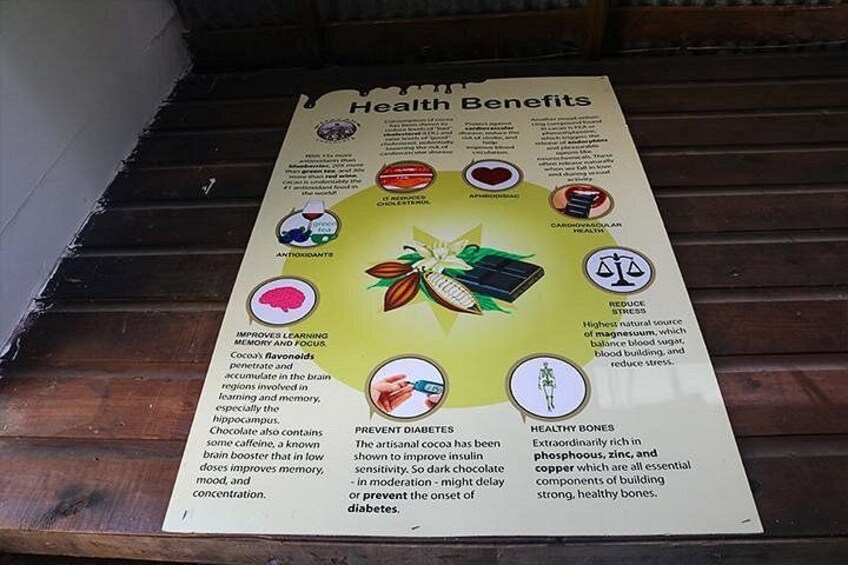 Benefits of the Chocolate 3