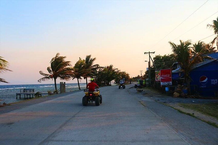 A coastal road with palm trees, a parked vehicle, and a Coca-Cola sign. 5