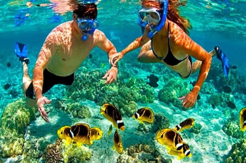 Två personer som snorklar under vattnet och tittar på fiskar. 2