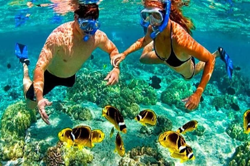 Take your time enjoying nature under Roatan reef system 2