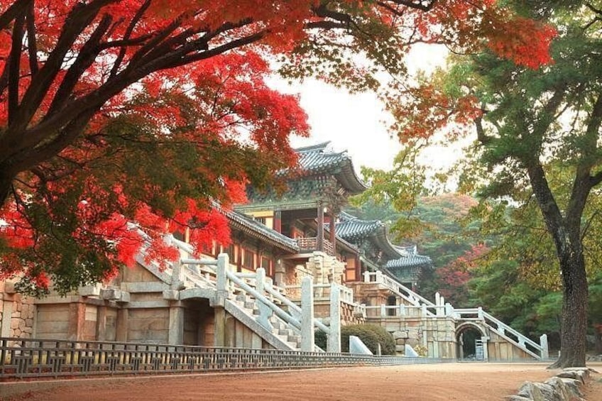 A traditional Japanese building with a stone staircase leading up to a gate, surrounded by trees with red leaves. 2